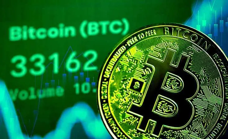 Coin Kong Trader - Unlock the Potential of Automated Cryptocurrency Trading  
Discover Our Innovative Coin Kong Trader Interface
